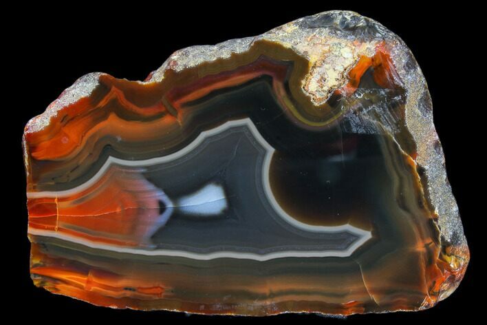 Beautiful Condor Agate From Argentina - Cut/Polished Face #79501